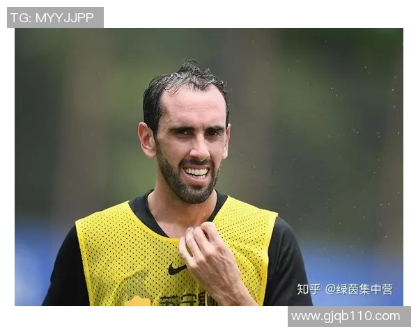 西安羽毛球队整体表现分析：优势与不足的深度探讨