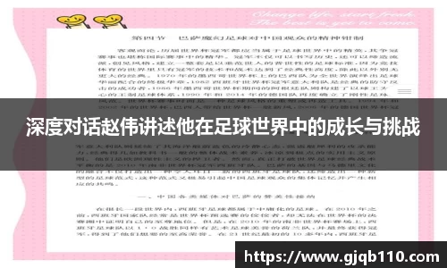 365WM完美